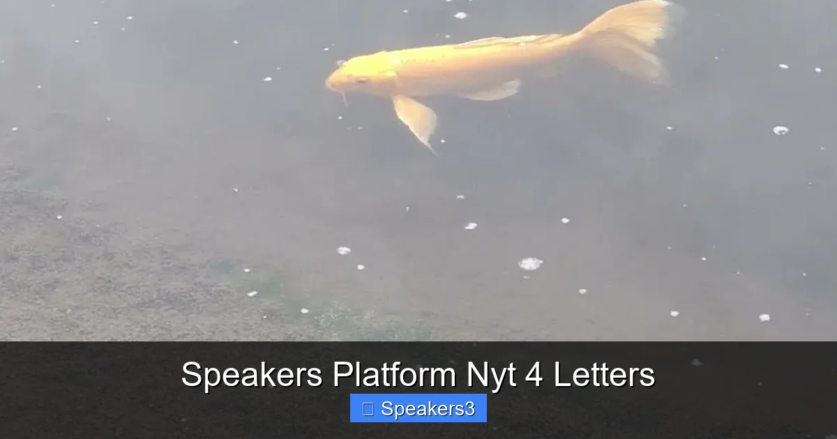 Speakers Platform Nyt 4 Letters