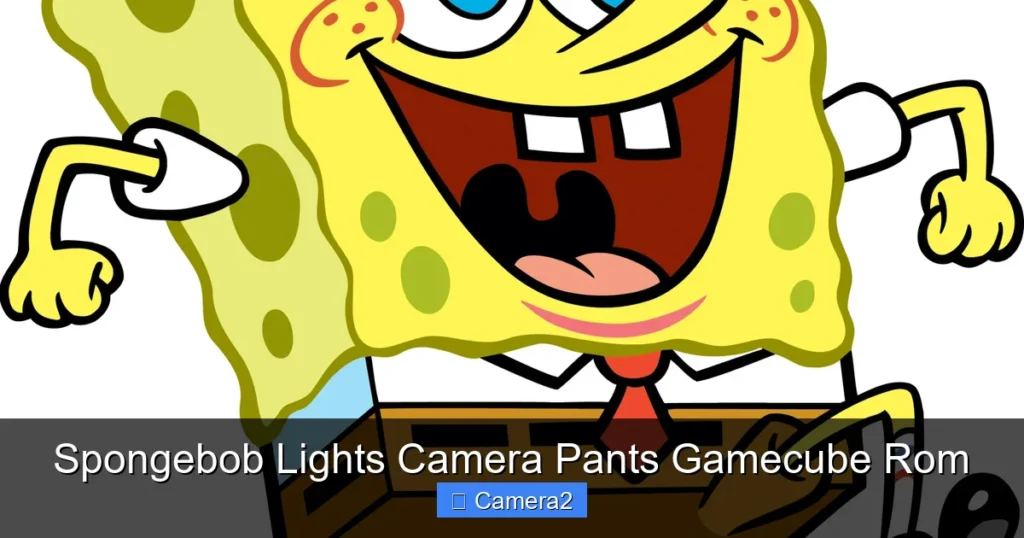 Spongebob Lights Camera Pants Gamecube Rom