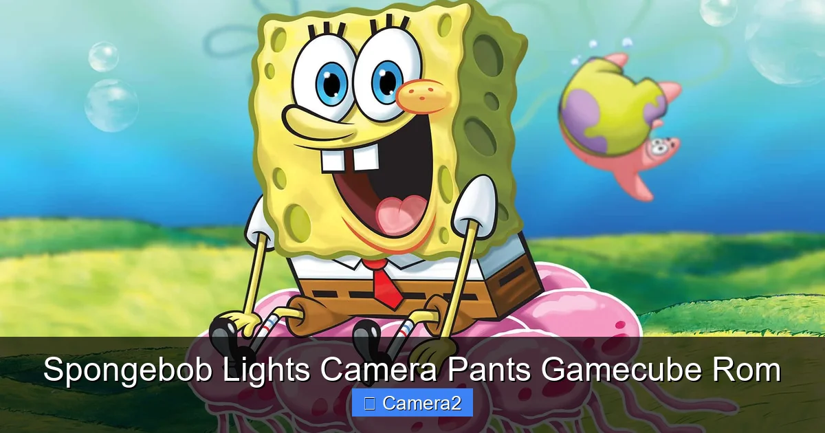 Spongebob Lights Camera Pants Gamecube Rom