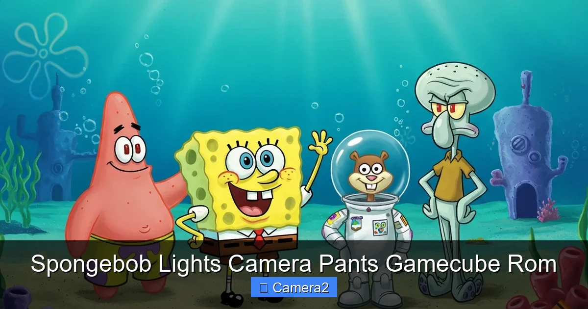 Spongebob Lights Camera Pants Gamecube Rom