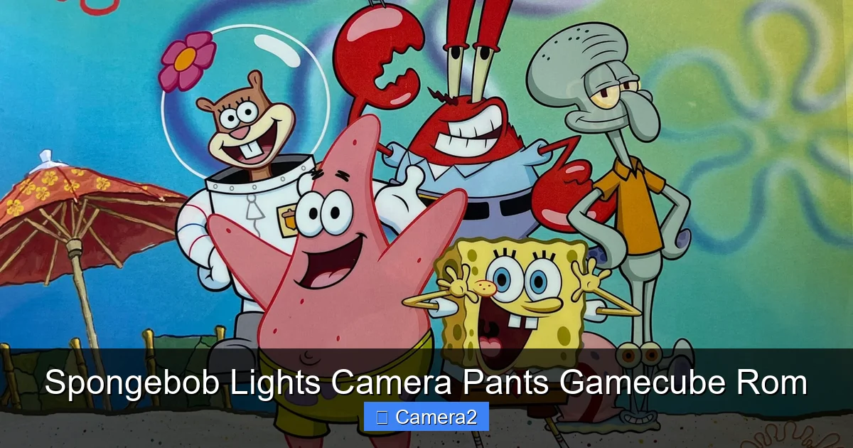 Spongebob Lights Camera Pants Gamecube Rom