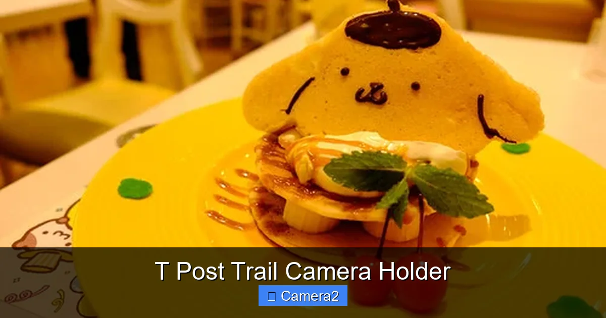 T Post Trail Camera Holder