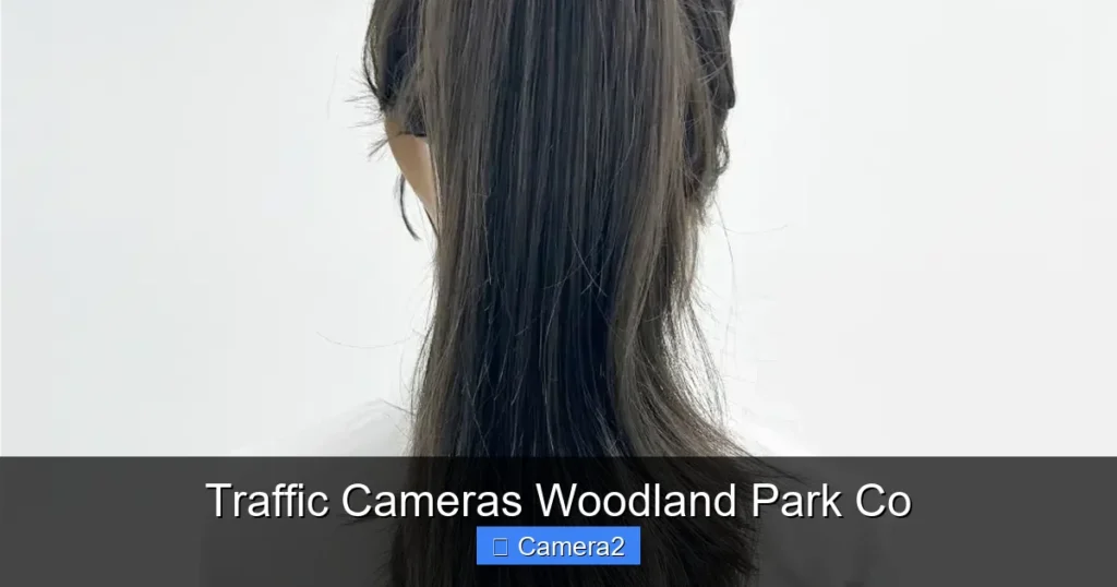 Traffic Cameras Woodland Park Co