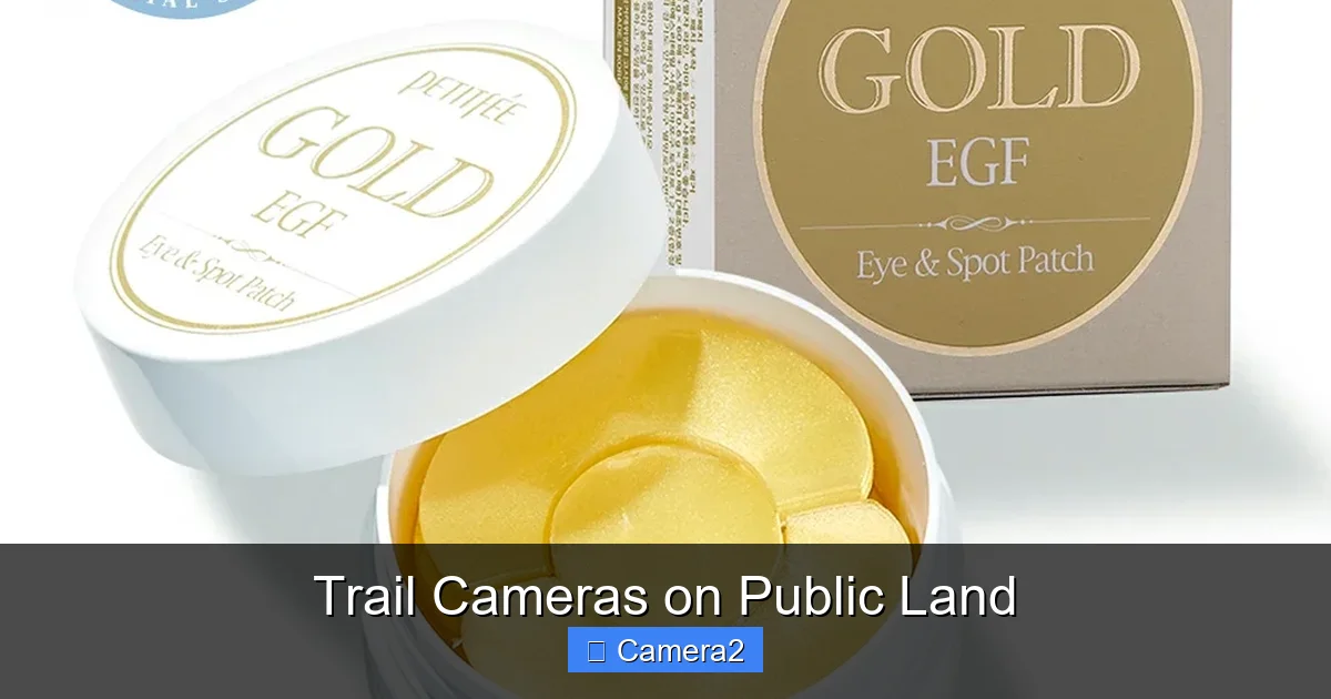 Trail Cameras on Public Land