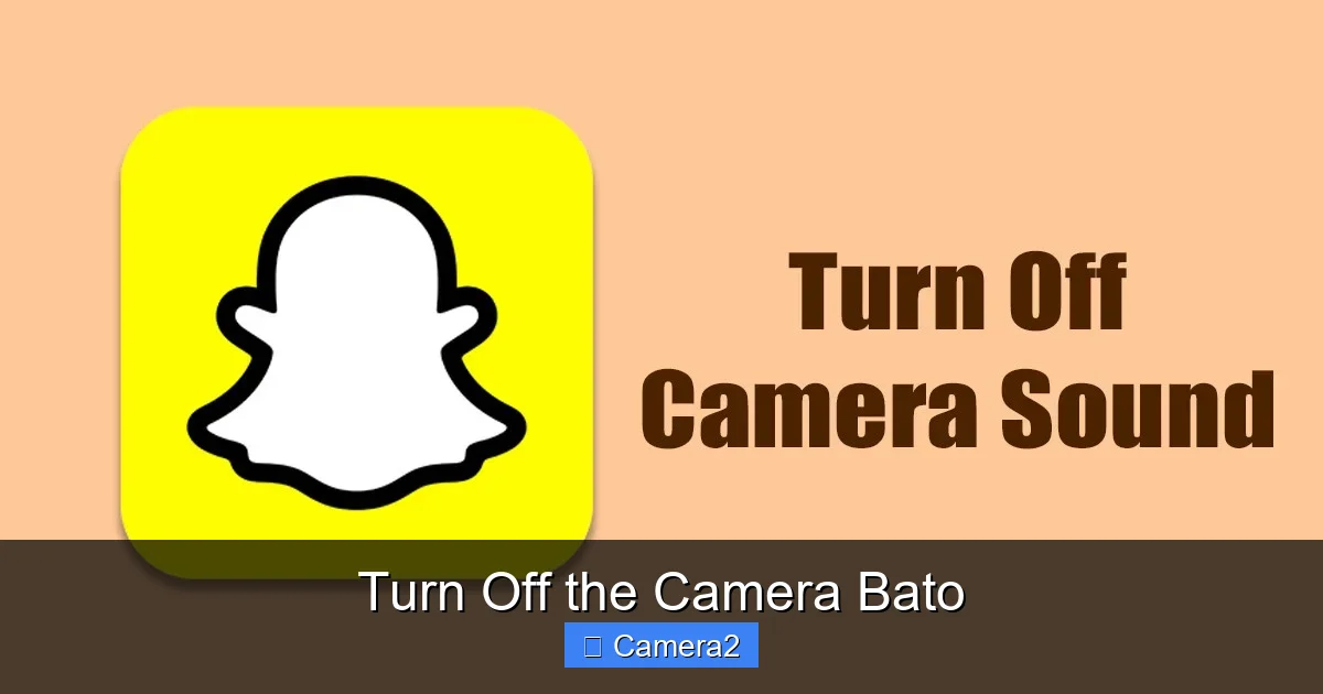 Turn Off the Camera Bato