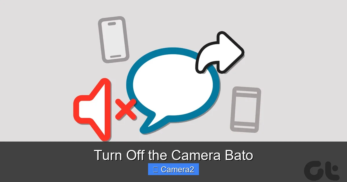 Turn Off the Camera Bato