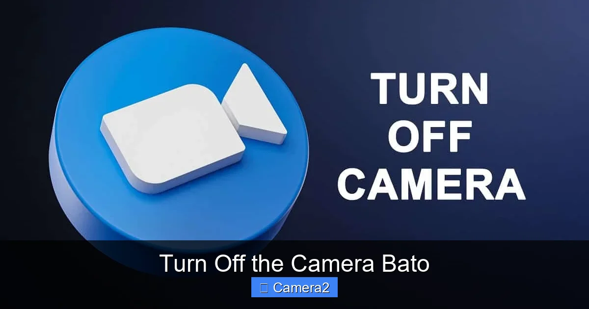 Turn Off the Camera Bato