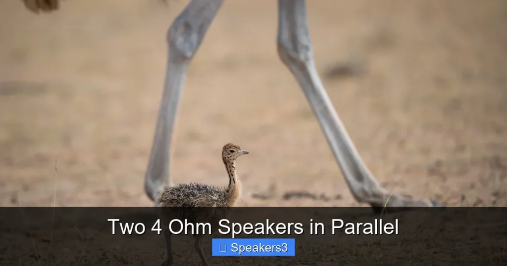 Two 4 Ohm Speakers in Parallel