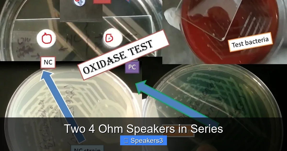 Two 4 Ohm Speakers in Series