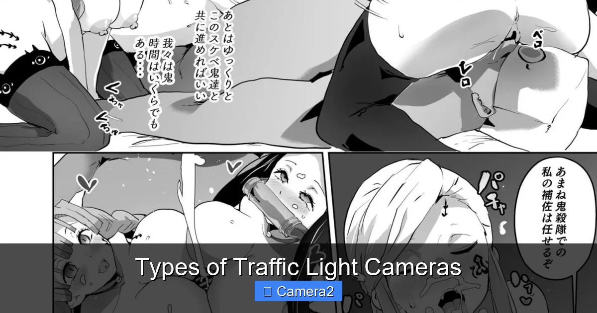 Types of Traffic Light Cameras