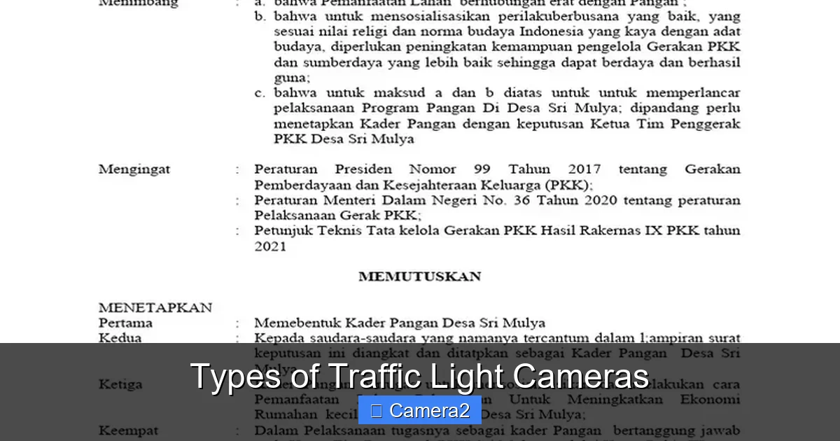 Types of Traffic Light Cameras