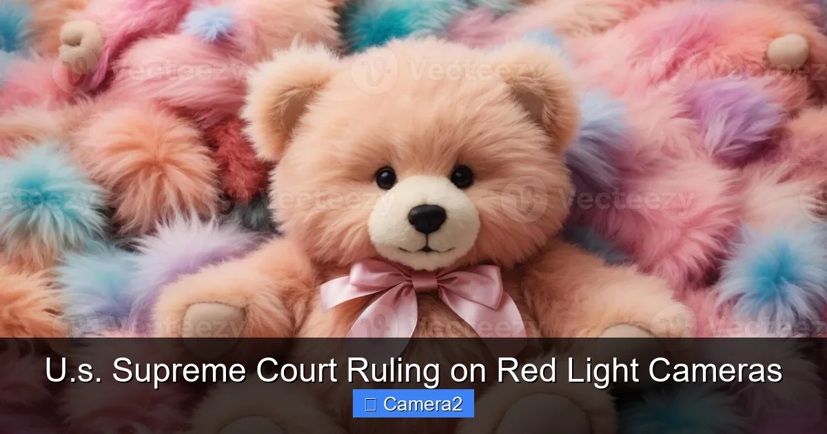U.s. Supreme Court Ruling on Red Light Cameras