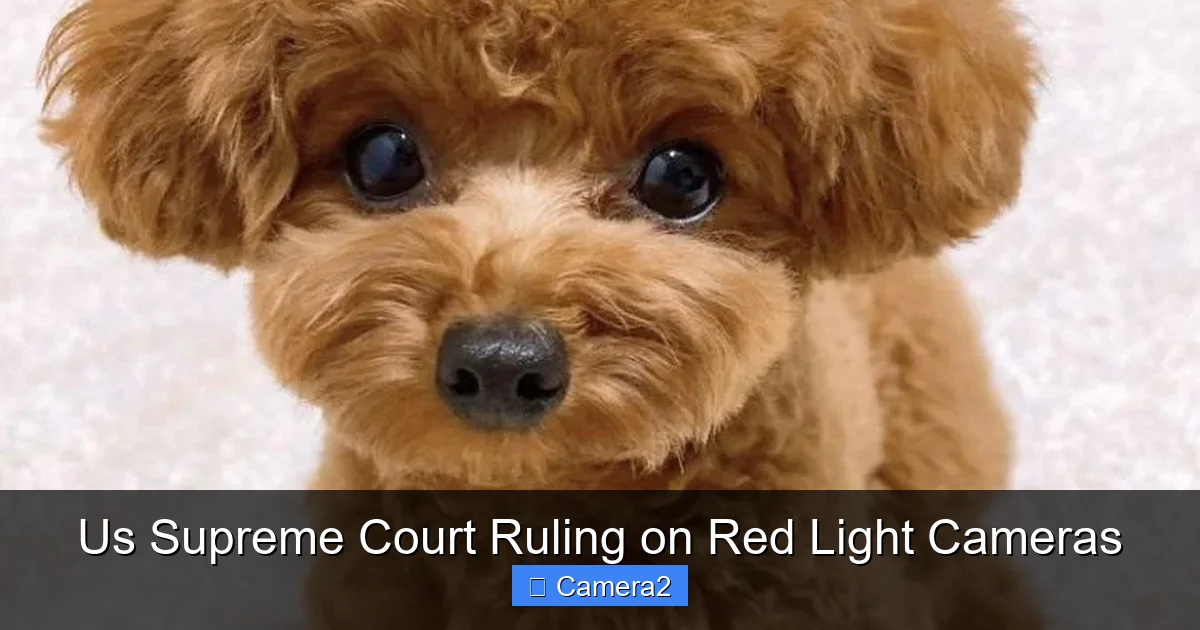 Us Supreme Court Ruling on Red Light Cameras