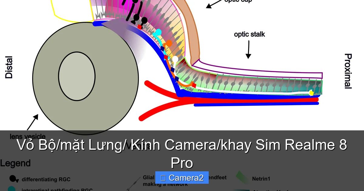 Vỏ Bộ/mặt Lưng/ Kính Camera/khay Sim Realme 8 Pro