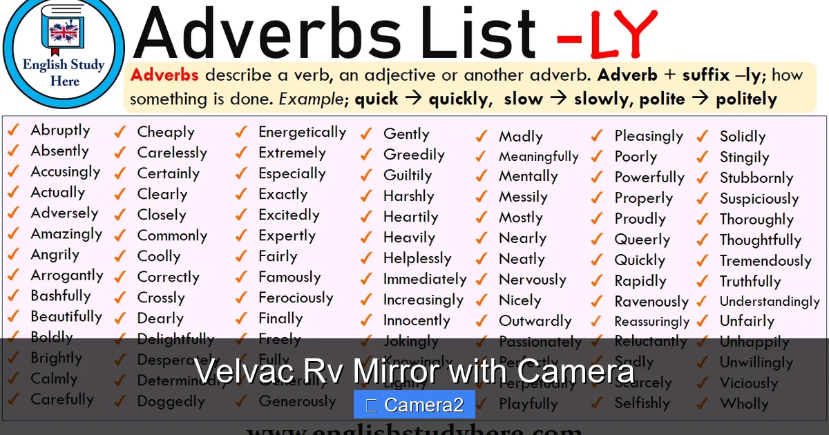 Velvac Rv Mirror with Camera
