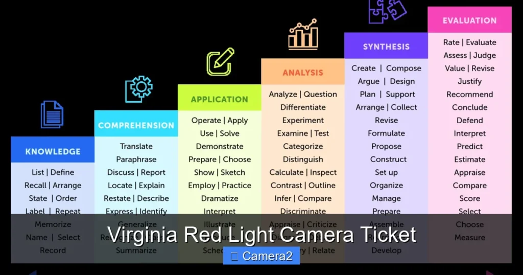 Virginia Red Light Camera Ticket