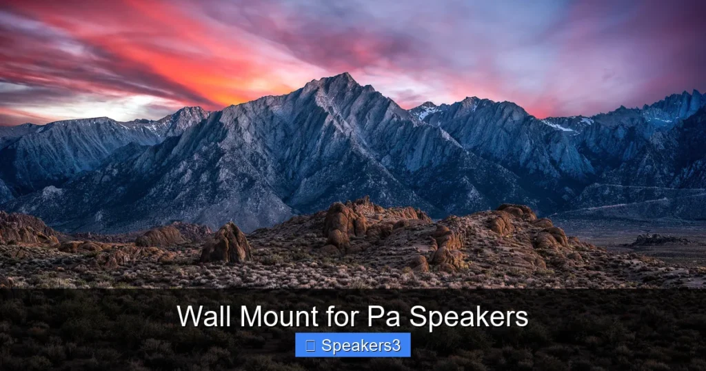 Wall Mount for Pa Speakers