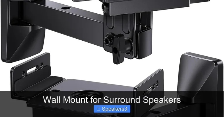 Wall Mount for Surround Speakers