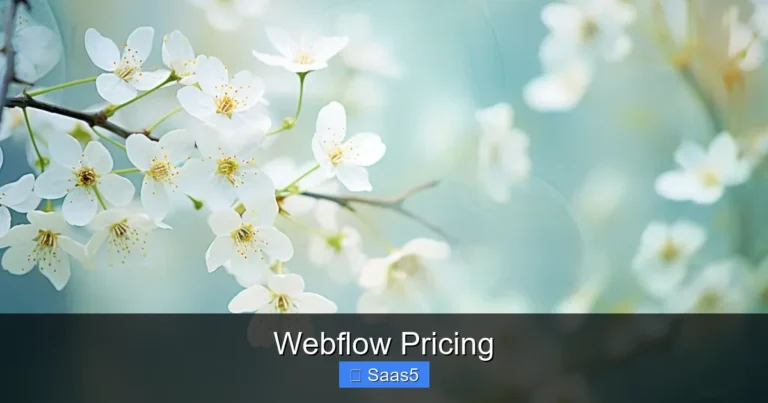 Webflow Pricing