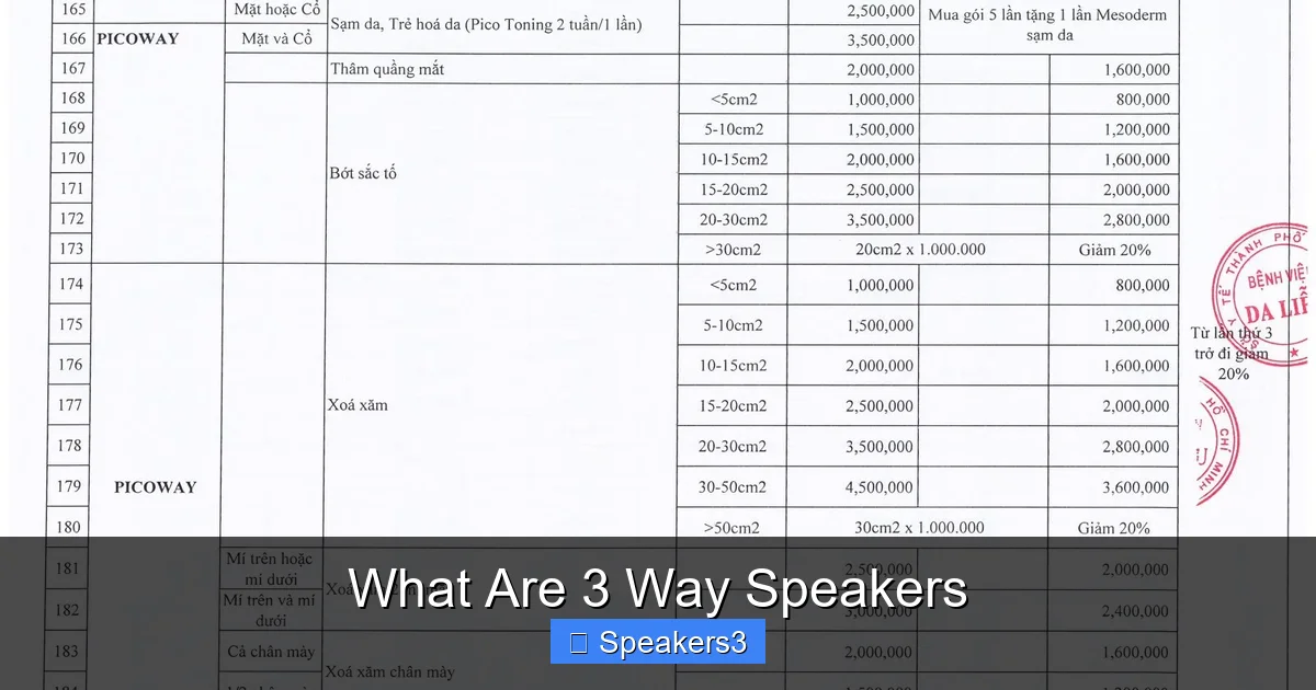 What Are 3 Way Speakers