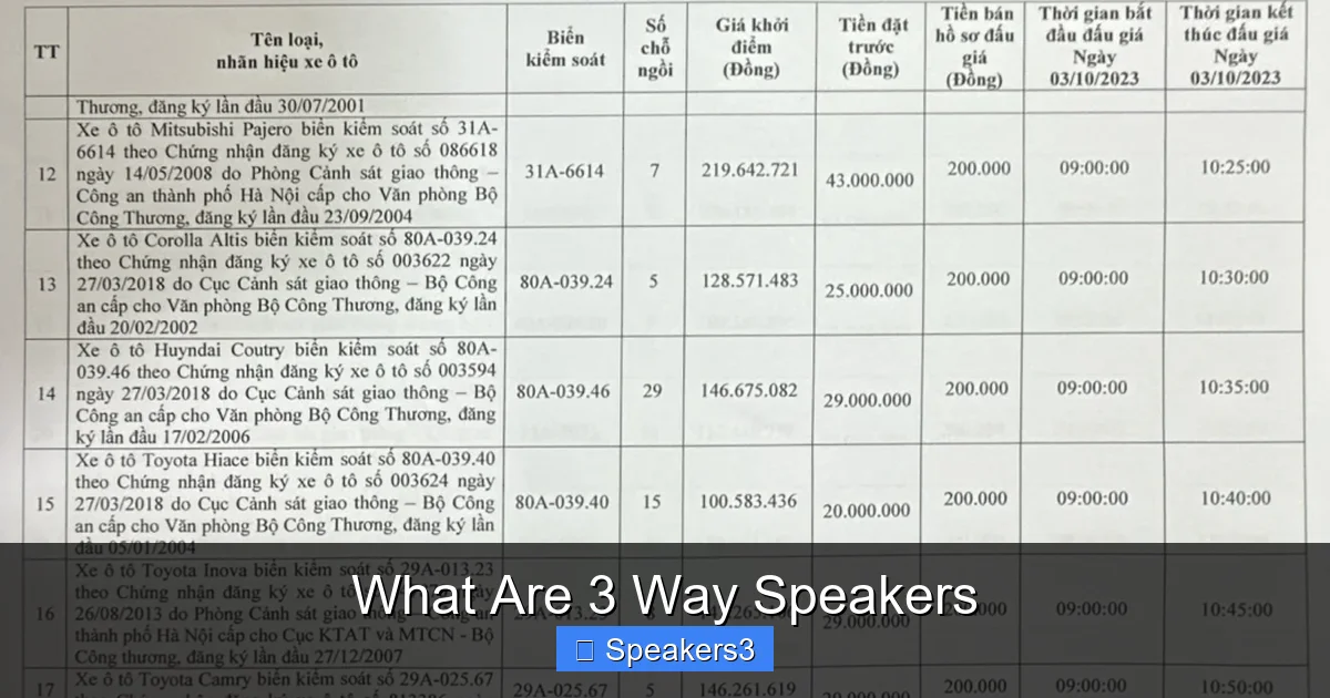 What Are 3 Way Speakers