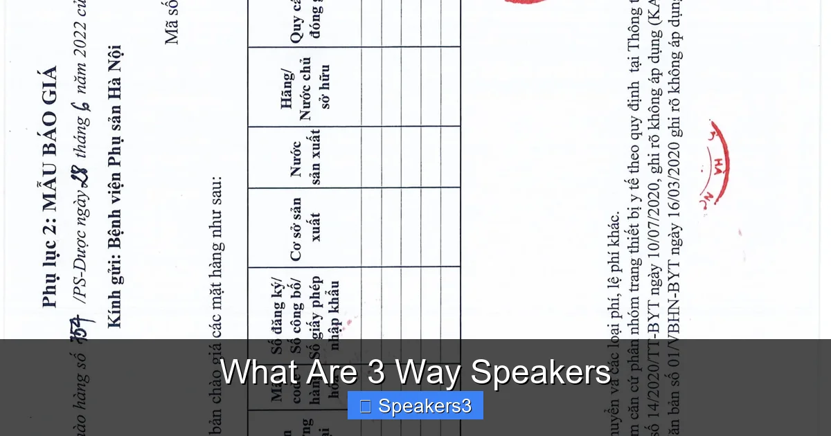 What Are 3 Way Speakers