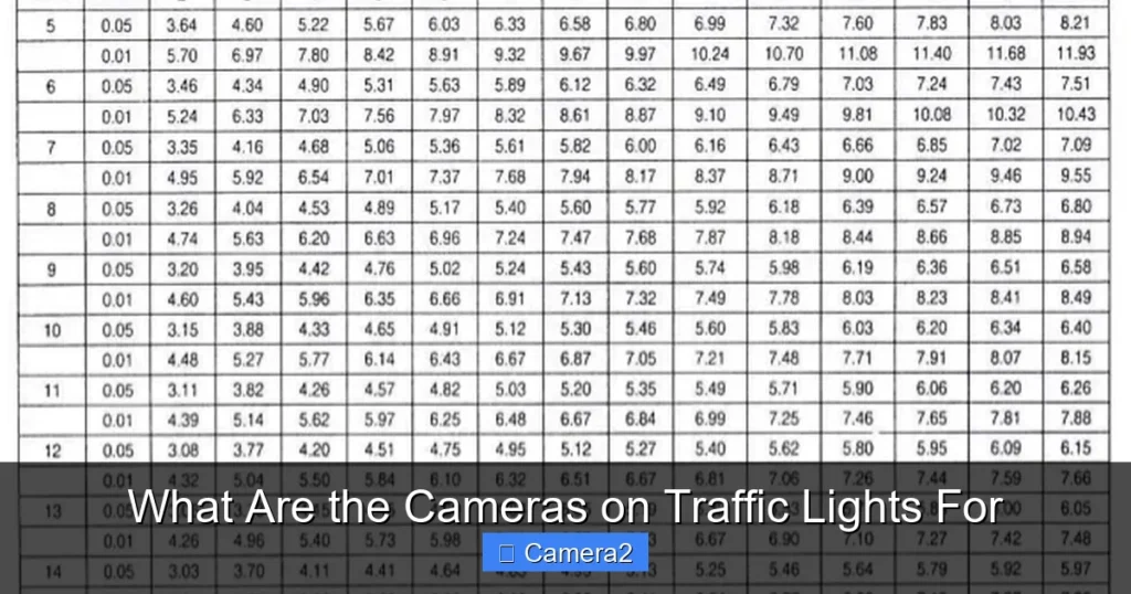 What Are the Cameras on Traffic Lights For