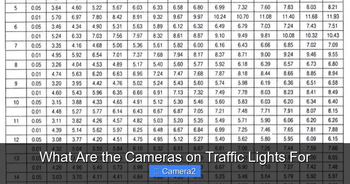 What Are the Cameras on Traffic Lights For