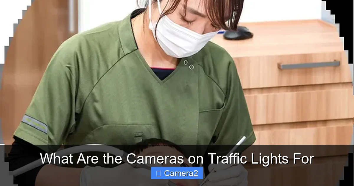What Are the Cameras on Traffic Lights For