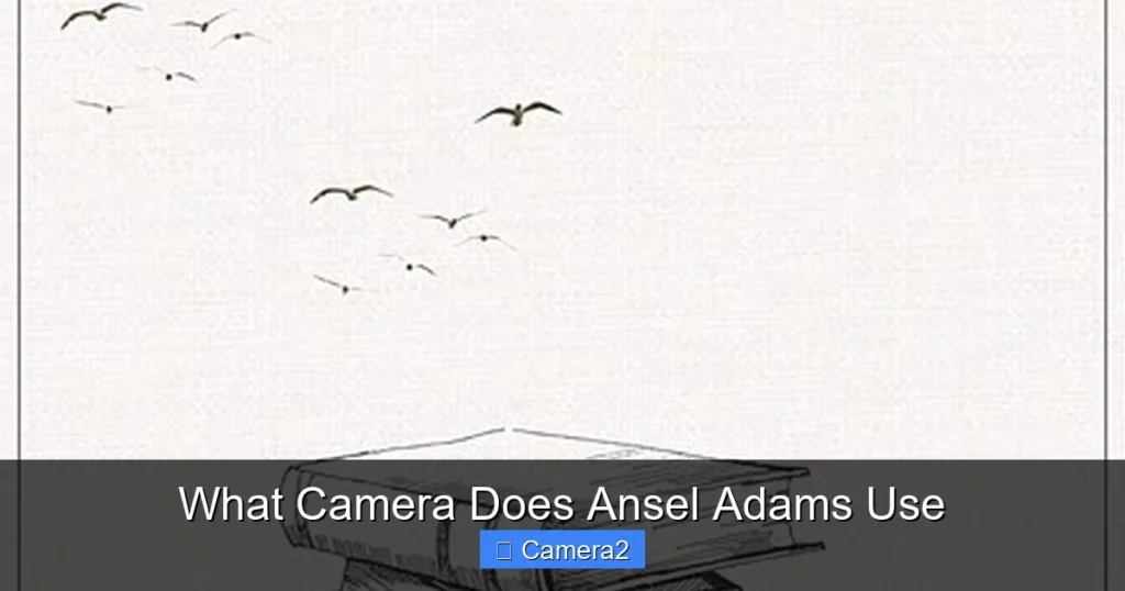 What Camera Does Ansel Adams Use