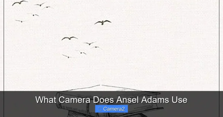 What Camera Does Ansel Adams Use