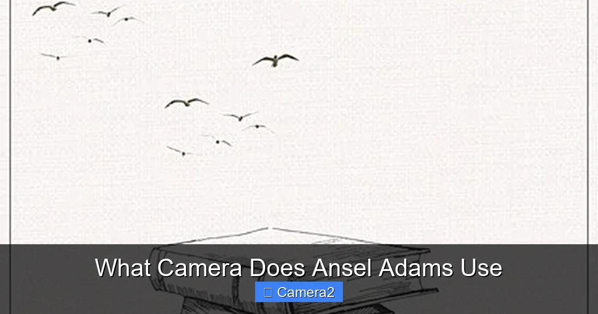 What Camera Does Ansel Adams Use