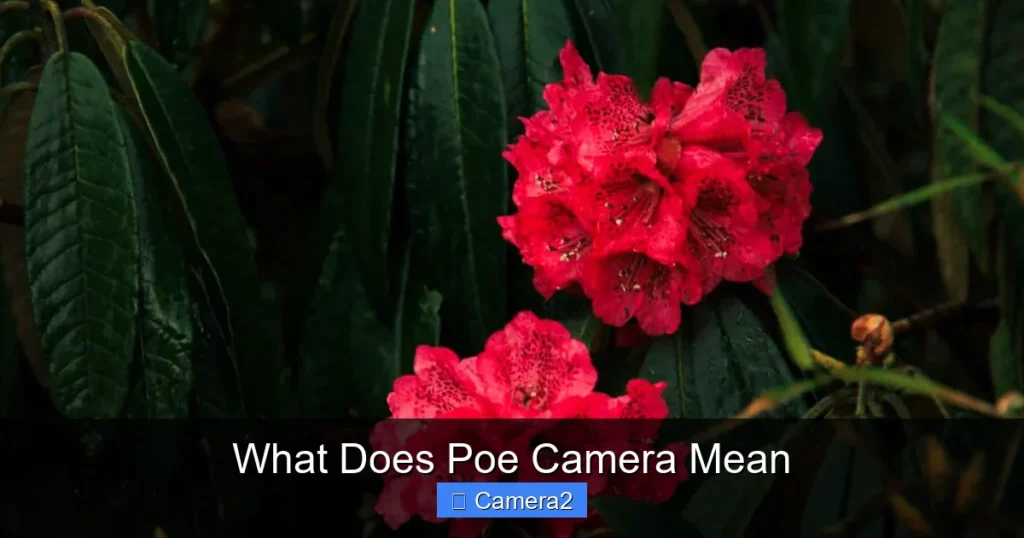 What Does Poe Camera Mean
