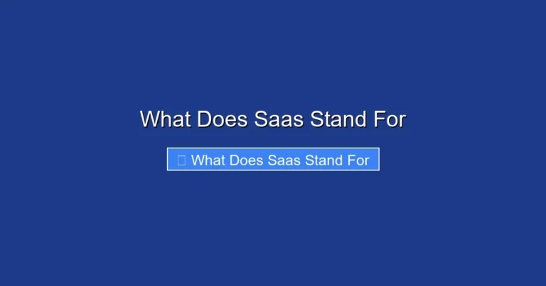 What Does Saas Stand For