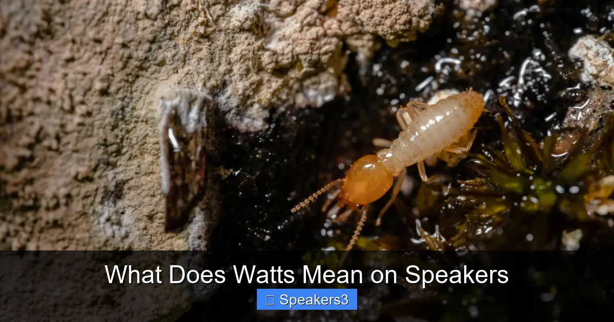 What Does Watts Mean on Speakers