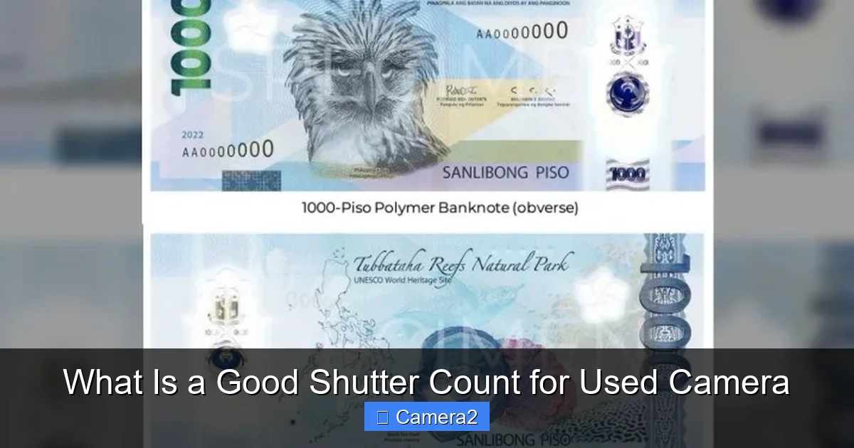 What Is a Good Shutter Count for Used Camera