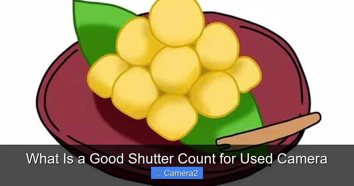 What Is a Good Shutter Count for Used Camera