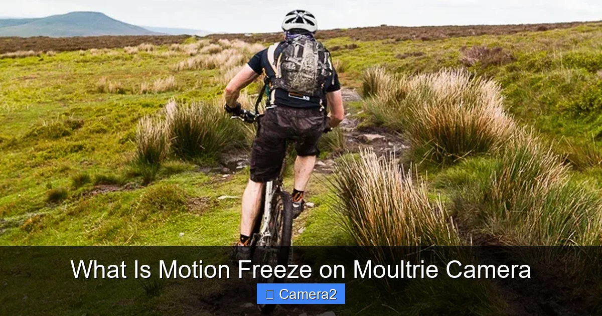 What Is Motion Freeze on Moultrie Camera