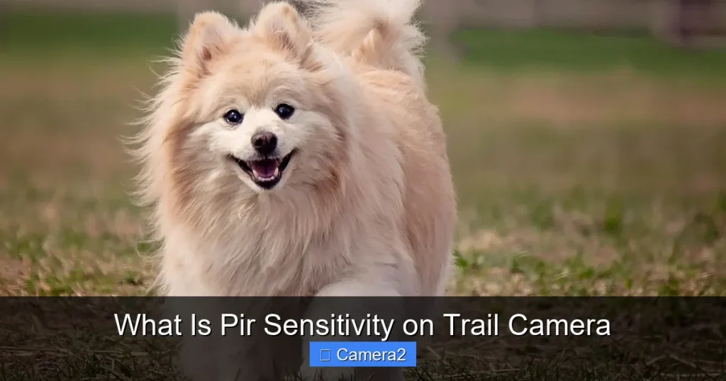 What Is Pir Sensitivity on Trail Camera