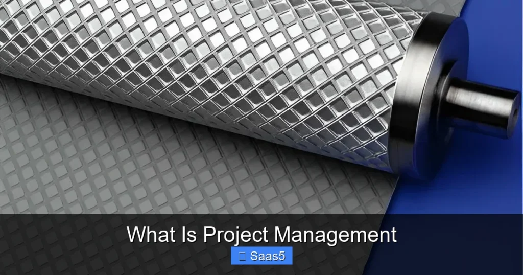 What Is Project Management