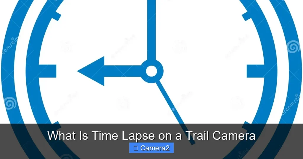 What Is Time Lapse on a Trail Camera