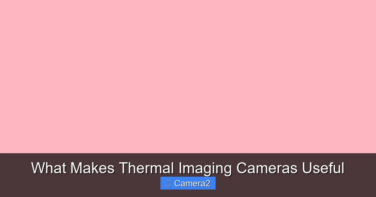 What Makes Thermal Imaging Cameras Useful