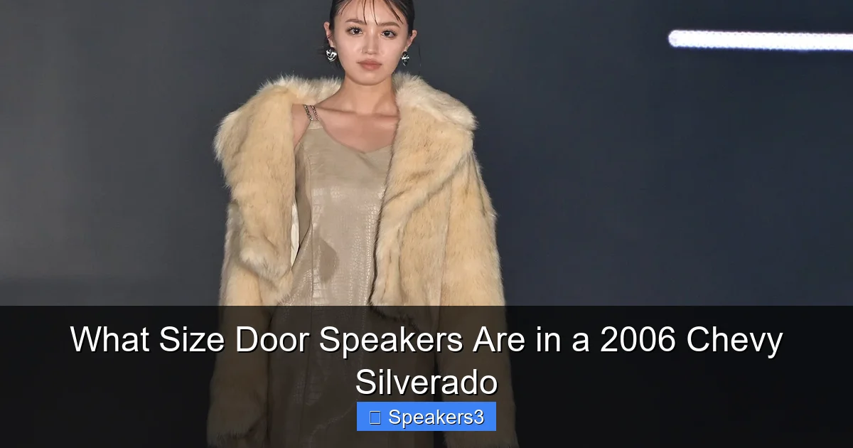 What Size Door Speakers Are in a 2006 Chevy Silverado