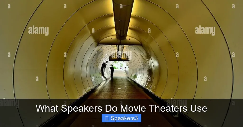 What Speakers Do Movie Theaters Use