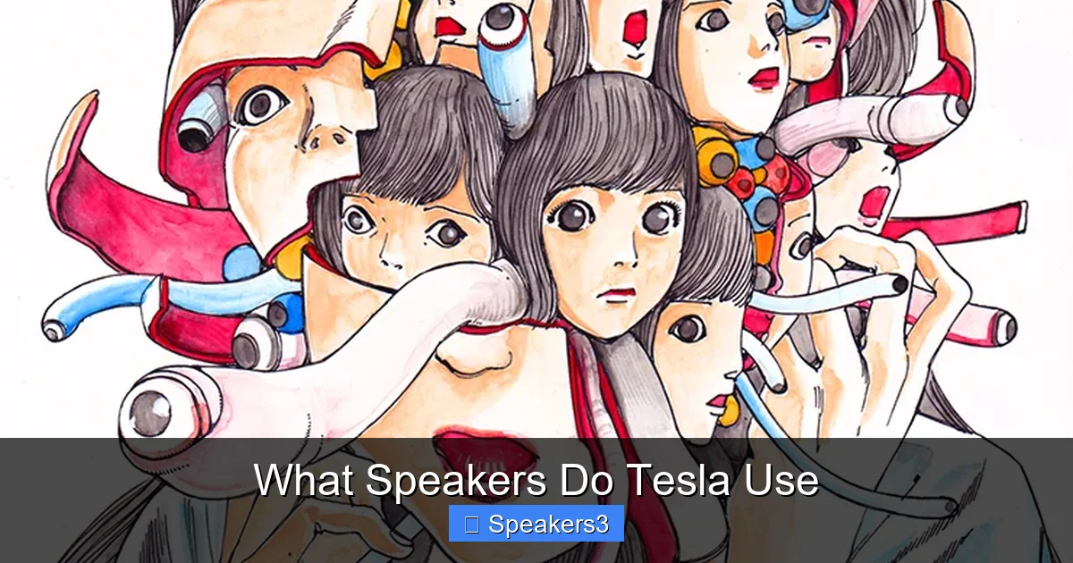 What Speakers Do Tesla Use
