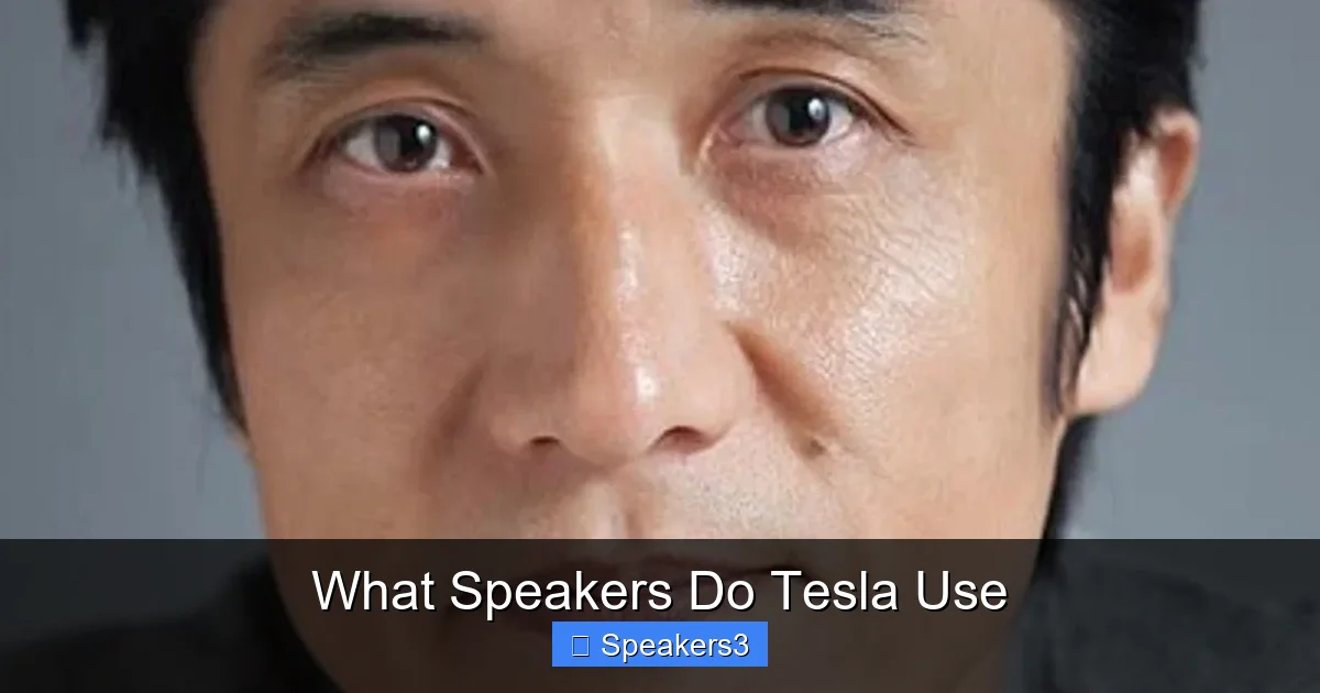 What Speakers Do Tesla Use