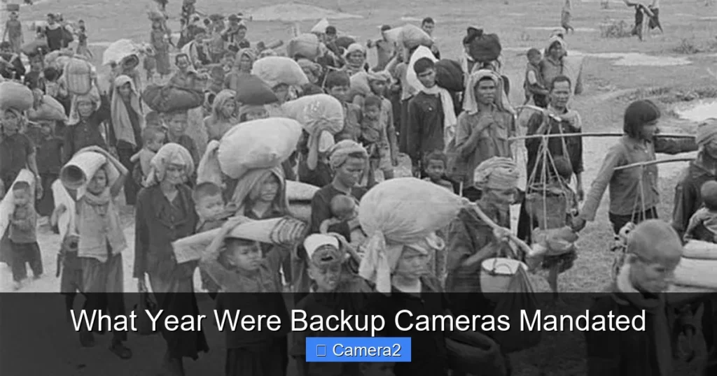 What Year Were Backup Cameras Mandated