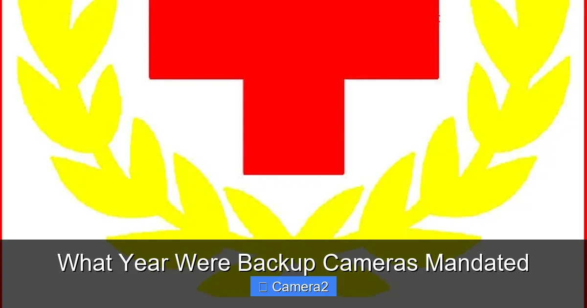 What Year Were Backup Cameras Mandated
