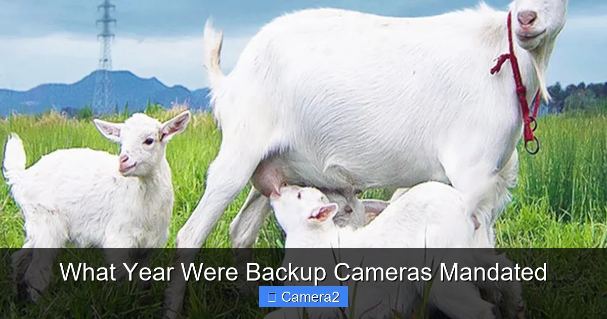 What Year Were Backup Cameras Mandated