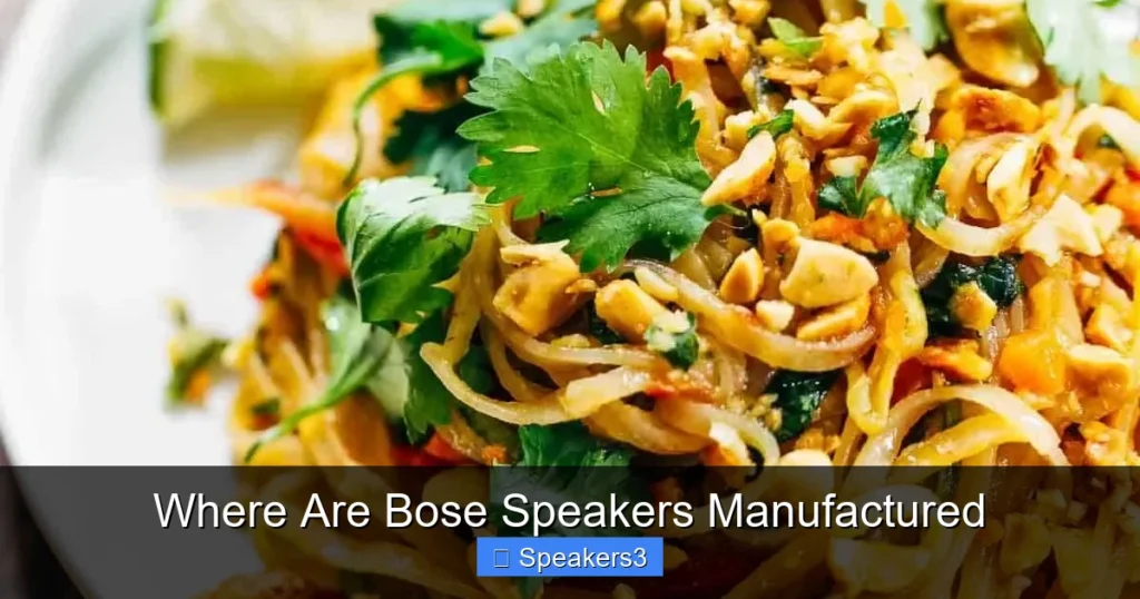 Where Are Bose Speakers Manufactured